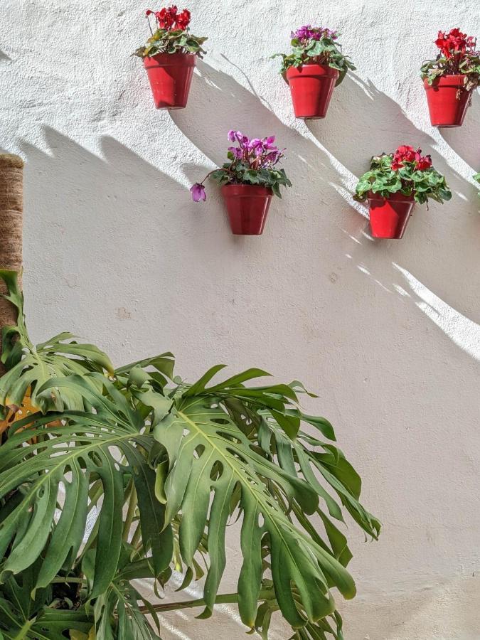 Harbor Getaway In The Heart Of Puerto Banus With Walking Dictance To Everything Marbella Luaran gambar